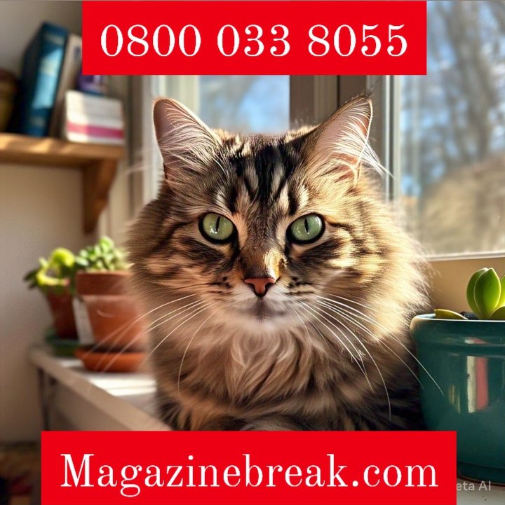 0800 033 8055